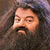 Rubeus Hagrid